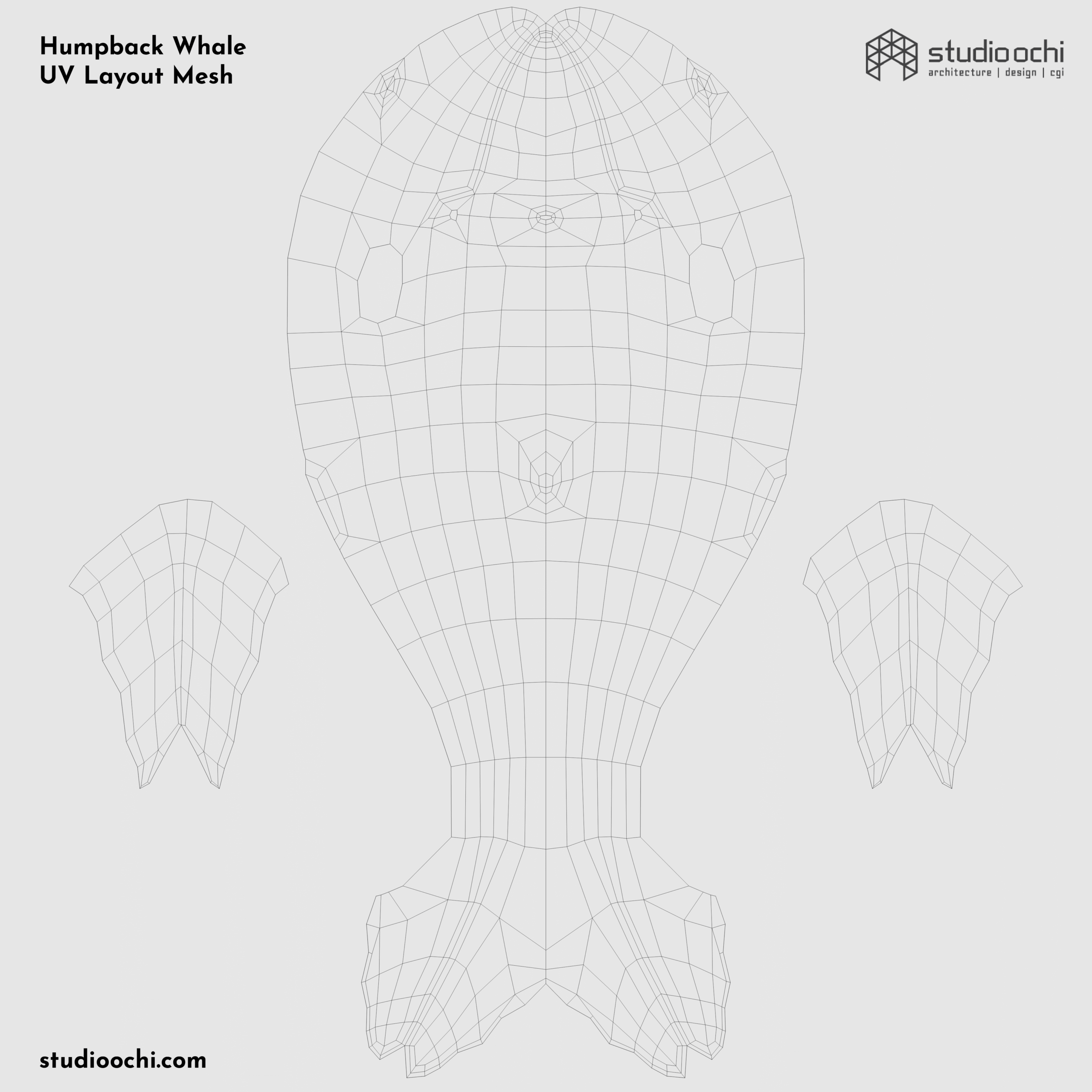 3D render humpback whale lowpoly model