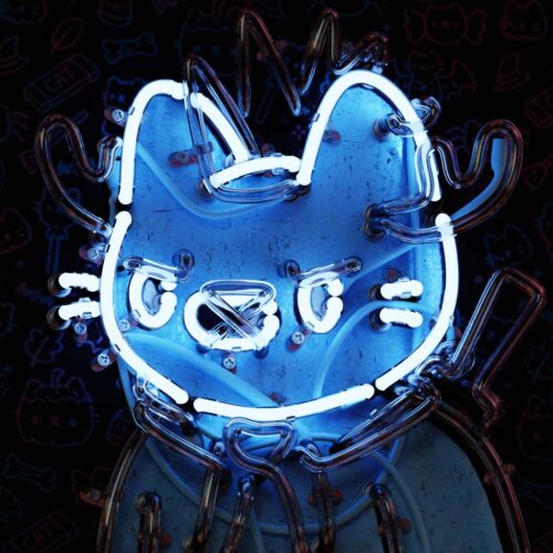 Neon Cool Cat