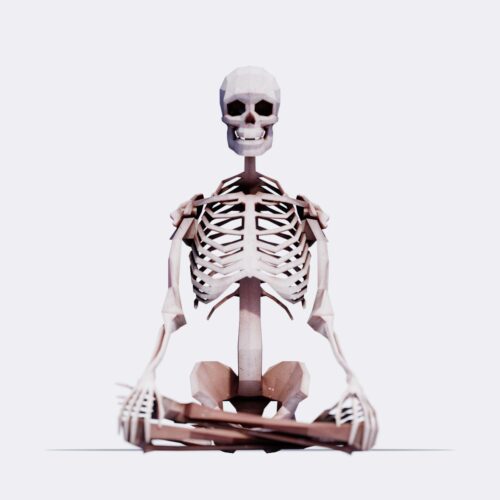 Low Poly Human Skeleton
